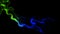 Motion blur smoke wave . Colorful moves steam on isolated black background. The concept of aromatherapy