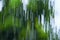 Motion blurred foliage abstract nature blur green background