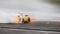 Motion blurred of image diffusion race drift car with lots of smoke from burning tires on speed track