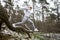 Motion blurred photo of woman exercising in forest in winter