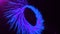 Motion graphics with blue purple colored spiral and spheres