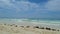 Motion Lapse of the Coastline of Sandy Beach of Zanzibar at High Tide, Africa