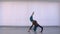 Motion shoot of young beautiful flexible female performing an emotional dance in the empty room indoors in a flat