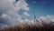 Motion Timelapse of Cloud in Blue and Gray Sky before Rain. Rural Scene