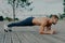 Motivated male athlete does abs exercise, enjoys bodybuilding training outdoor and stands in plank. Strong muscular European adult