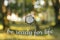 Motivation concept picture text be ready for life with vintage style hand clock falling down on outdoor unfocused blurred nature