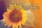 Motivation wording sunflower background