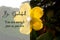 Motivational and inspirational quote - You are enough just as you are. With yellow flower and blurred nature background