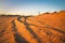 Motocross and auto sport track with sunset sky background.