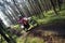 Motocross through forest