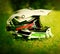 Motocross helmet with goggles on grass