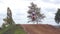 Motocross MX Rider riding on dirt track