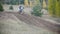 Motocross racer biker in blue jumpsuit jumping on track among the spruces in rapid shoot, slow motion