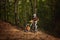 Motocross racer riding on forest