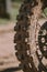 Motocross tire closeup