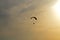 Motoparaplane against the sky and the sun. Extreme sports, enjoy life, value the moment