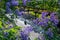 A motor bike and Purple jacaranda tree blooming in Sping sunny day