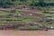 Motor sloop in front of agriculture plots along Yangtze River, China