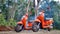 Motorbikes parked in forest