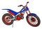 Motorbikes vector or color illustration