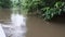 motorboat going down tropcial river in the amazon jungle