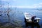 The motorboat near to dead trees in the Enriquillo lake. Dead forest in a water. Dead trees in a swamp. Dead trees in a