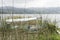 Motorboat on the shore, among vegetation; San Pedro island, Lake Tota