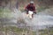 Motorcross rider racing in flooded wood