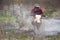 Motorcross rider racing in flooded wood