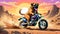 motorcycle dirt bike cycle bull mastiff bulldog dog puppy motorized biker