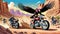 motorcycle dirt bike cycle turkey vulture condor bird desert track race