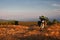 Motorcycle enduro traveler with suitcases standing on a wide orange sunset dawn mountain meadow plateau