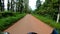 Motorcycle ridding at twisty mountain road with lush green forests