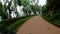 Motorcycle ridding at twisty mountain road with lush green forests