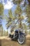 Motorcycle with riding gloves and jacket in forest setting