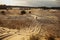 Motorcycle riding in sand dune top view