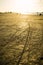 Motorcycle tracks in the golden beach sand