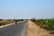 Motorcyclist on rural road surrounded by green farm fields near Mirpurkhas Sindh Pakistan