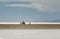 Motorcyclist traveling across the long salt flats of western Utah.