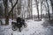 Motorcyclists enjoy extreme winter riding on a motorcycle, snowy forest, snowfall. The concept of transport and clothing for the