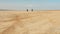 Motorcyclists riding along sandy beach. Bikers ride motorcycle through desert.