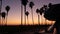 Motorhome trailer, caravan for road trip, palm trees, California beach at sunset