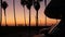 Motorhome trailer, caravan for road trip, palm trees, California beach at sunset