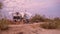 Motorhomes parked and camping at the beach during sunset, Los Barriles, Baja California, Mexico - December 11th, 2017