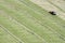 Motorised mower and rows of cut hay windrow