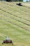 Motorised mower, swather and rows of cut hay windrow