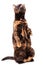 A mottled tortoiseshell cat sits comically on its hind legs and raises its front paw.