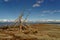 Motueka Sandspit, Tasman region, New Zealand