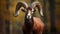 Mouflon, Ovis orientalis, forest horned animal in the nature habitat, portrait of mammal with big horns, Generative AI