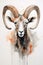 Mouflon (Ovis orientalis orientalis) close up portrait. Watercolor animal illustration. Generative AI